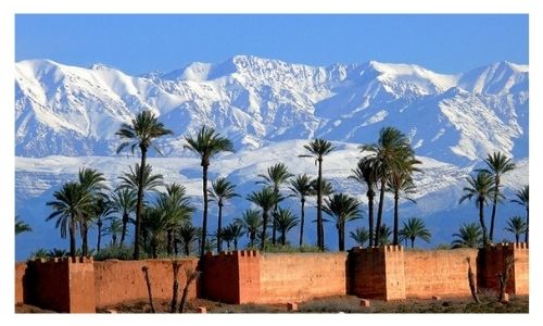 Morocco Travel Agency﻿﻿